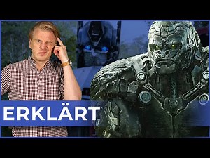 Transformers 7: Reboot, Sequel oder Prequel? Was ist Rise of the Beasts denn jetzt?