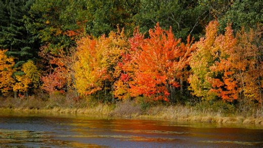 The oldest town in NH is over 400 years old. But actually it's two towns