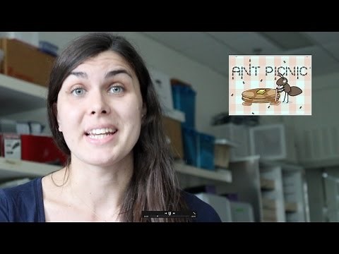 Ant Picnic