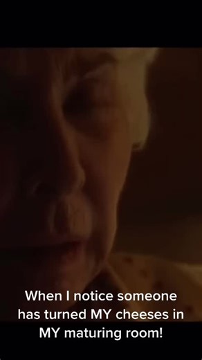 When I notice someone has turned MY cheeses in MY maturing room! #cheese #britishcheese #artisancheese #affinage #maturingcheese