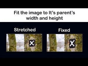 Fit an Image to it's parent width and height without stretching | object-fit property