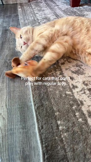 Interactive cat toy for indoor cats that need more mental stimulation and exercise. If your cat gets bored easily or ignores most toys, this rechargeable moving toy keeps them engaged without you having to constantly play. Great for solo play or bonding time. Comes in a 2 pack so you always have one ready. Tap the cart to see if there are any coupons available. #tiktokshopcreatorpicks #Greenish #Tiktokshopstockup #tiktokshopmothersday #aprilrestock