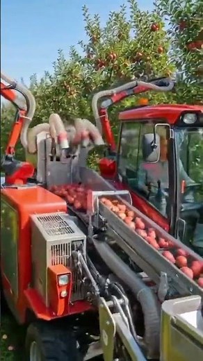 Apple Harvest Machine 🍎🚜#appleharvest#farming#agriculture#farmingtechnology
