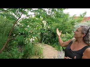 Some Great Trees With Edible Leaves and Good Taste. Permaculture Nordic Food Forest