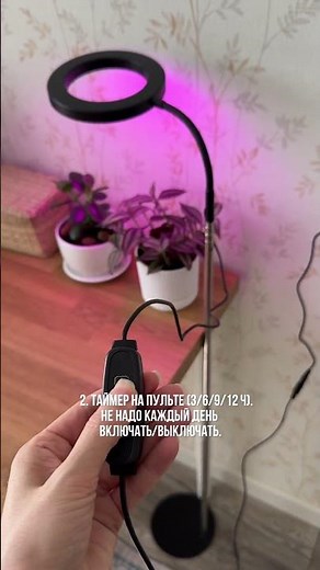 3 функции фитолампы о которых вы не знали!