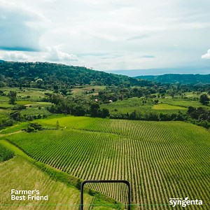 6.6K views · 65 reactions |  Know your land, maximize your yield! With the Cropwise Farm Area Calculator, walk your farm’s borders and get accurate measurements in seconds! ​ Try it today! Download now on the Google Play Store. https://bit.ly/4kKTHNH #BringingPlantPotentialToLife #FarmersBestFriend | Syngenta | Facebook