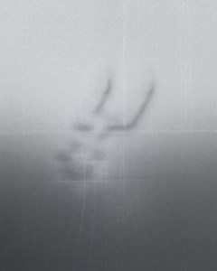 Fam supporting fam 🫶 | San Antonio Spurs