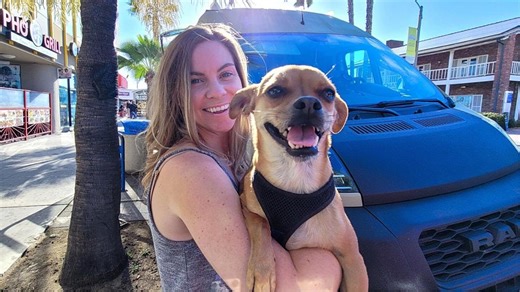 The Truth About Urban Van Life with a Dog: What We Learned