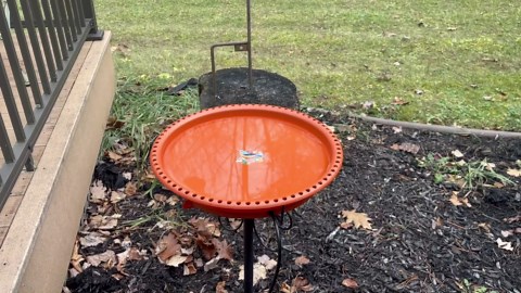 Daoeny Heated Bird Bath for Winter, Upgraded 100W Heated Bird Baths for Outdoors Thermostat Control with 5-Prong Metal Base, Heated Bird Bath for Outside Winter Garden Patio Yard Lawn (Blue)