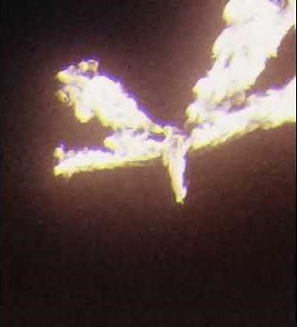 Override - ( SLOWED + REVERB )