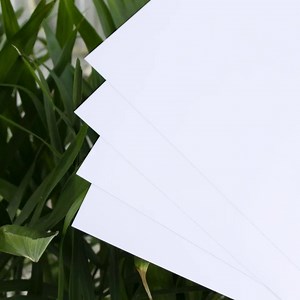 [Hot Item] PVC Materials Playing Paper Front and Back Custom Logo Printing