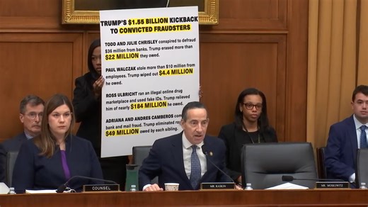 'Pay-to-play rules': Jamie Raskin crashes GOP hearing on 'addressing fraud' when he brings up Trump's pardoning of convicted fraudsters