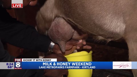 Milk a goat? Yup, Kenny's in the land of Milk & Honey at Lake Metroparks Farmpark