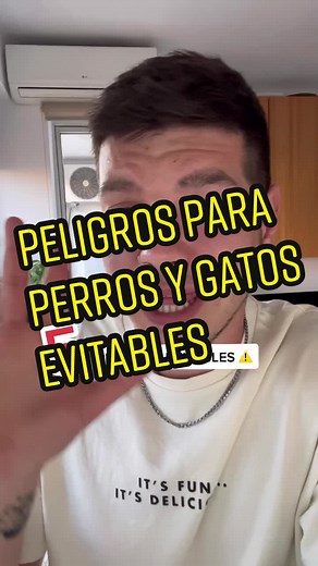 5 Avoidable Dangers for Pets at Home