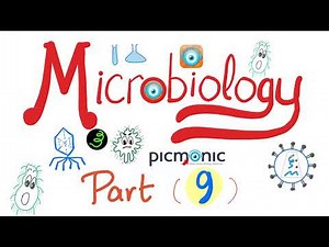 Microbiology -Gram (-) | Campylobacter jejuni, Vibrio cholera, E.coli, Klebsiella - Picmonic- Part 9