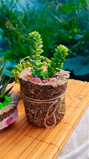 💚 Macetas Biodegradables de Yerba Usada 🪴 . . . #macetas #biodegradable #ecológico #dehuertayjardin #fiypシ #jardineria #jardinera #parati #macetasecologicas #ecology #gardening #diy #tipsdejardineria #plantas | De Huerta y Jardín