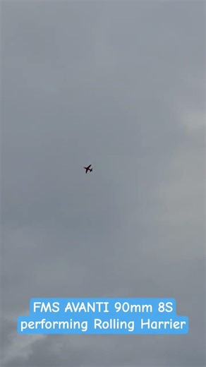 Amazing EDF Jet FMS Avanti 90mm with Thrust Vector, performing Rolling Harrier