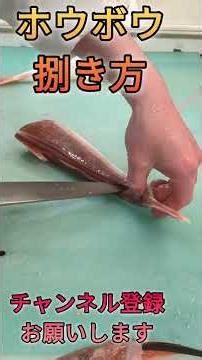 ホウボウ捌き方#short #shorts #new #fish #japan #howto #cooking #おすすめ #簡単 #料理 #釣り #楽しい #美味しい #チャレンジ
