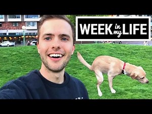 WEEK IN MY LIFE