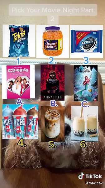 I Would Go With 3,A,6🐶🦜🐶🦜🐶🦜💖💝😘💓💗💕🥺💞💙🥰😍💜💘❤️ #fyp #dog #bird #cavalierkingcharlesspaniel #lovebird #cutie #foryoupage #movienight #fy