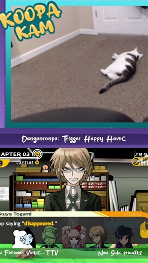 "Does this angle make me look fat?" - Koopa | #celeryekg on #Twitch