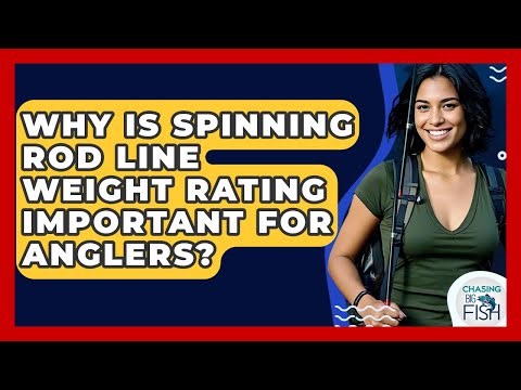 Why Is Spinning Rod Line Weight Rating Important For Anglers? - Chasing Big Fish
