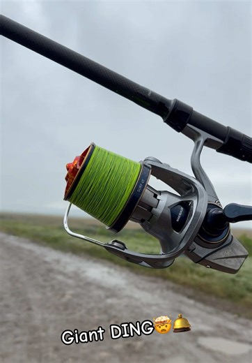 Master Carp and Surf Casting Techniques