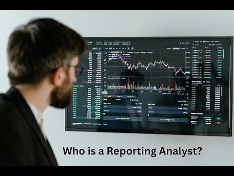 Who is a Reporting Analyst?