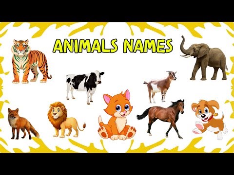 Animals Name For Kids | Animals Name in Bengali | Animals in Bangla | Bangla Animals Names
