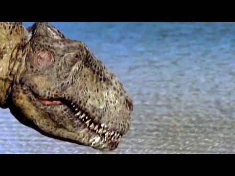 Top 10 Documentary Mini Series