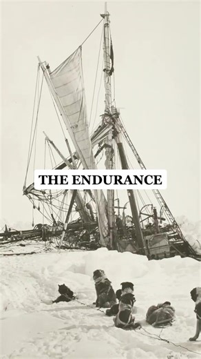 107 years after Endurance was crushed by ice near the Antarctic Peninsula, explorers have announced that she has been found. Learn more about this story of survival at the link in our bio! #Endurance #HistoryOf
