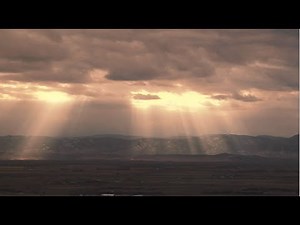 What Does Sunlight Do?