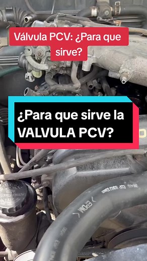 ¿Para que sirve la VÁLVULA PCV? #valvulapcv #pcv #valvulas #valvulasdemotor #motor #motorautomotriz #automotive #auto #automotriz #mecanicaautomotriz