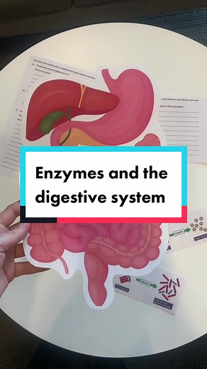 Biology with Olivia on TikTok