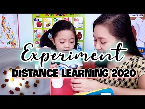 Monggo Seeds in Cotton Growing Observation 🌱 | Science Experiment for Kids | Nanay and Claire