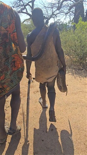 Big bush python hunt by Hadzabe people
