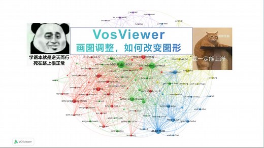 【Vosviewer 作图调整】图片美化
