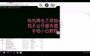 教你如何开一个可以加插件的bds服务器-小白片1