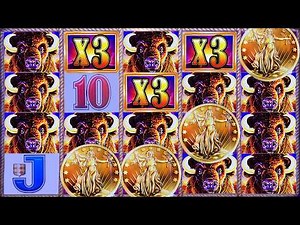 OVER 25K in BUFFALO GOLD WINS