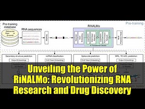 Unveiling the Power of RiNALMo: Revolutionizing RNA Research and Drug Discovery