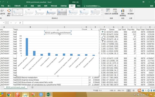 基因富集工具DAVID介绍（三）-零代码展示KEGG富集结果