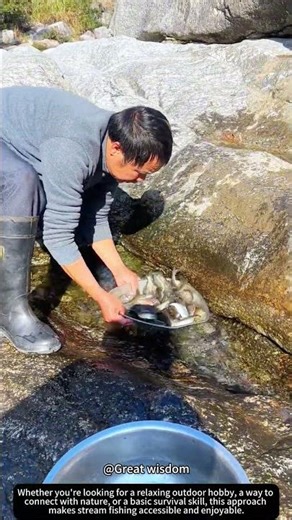 Relaxing Stream Fishing! 🎣🌊