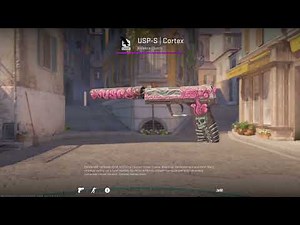 USP-S | Cortex in Couter Strike 2 CS2