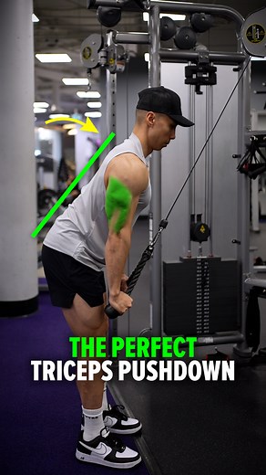 226K views · 1.8K reactions | ✅ The PERFECT Triceps Pushdown 1) Lean forward slightly to lock in your position 2) Keep your upper arms vertical and fixed 3) Pull your shoulders down and away from your ears 4) Keep your elbows tucked for maximum triceps tension Size & Shred Training program  deltabolic.com | Andrew Kwong | Facebook