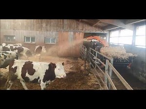 Paillage logettes et aire paillée avec valet 48 Cv.