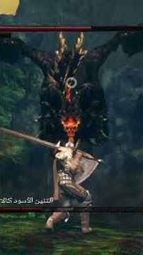 Dark souls remastered dragon boss Fight