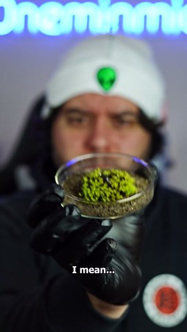 Are You Afraid of Roly-Poly Bugs?