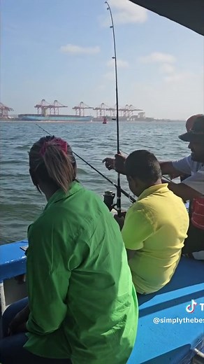 Simply the best fishing char on TikTok