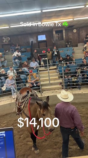 Horse and Cowboy at Equestrian Event in Bowie, TX