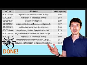 Rapid, Reproducible & Reliable GO Analysis with Snakemake and R